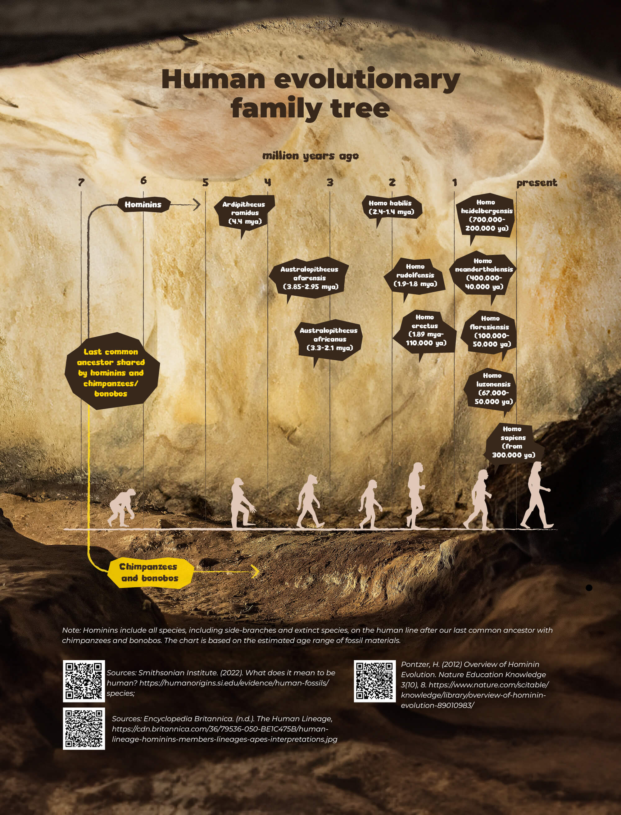 Early Humans In Southeast Asia Seasia co